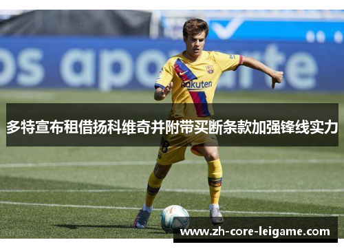 多特宣布租借扬科维奇并附带买断条款加强锋线实力