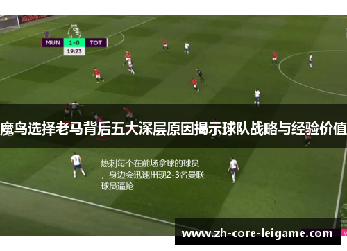 魔鸟选择老马背后五大深层原因揭示球队战略与经验价值