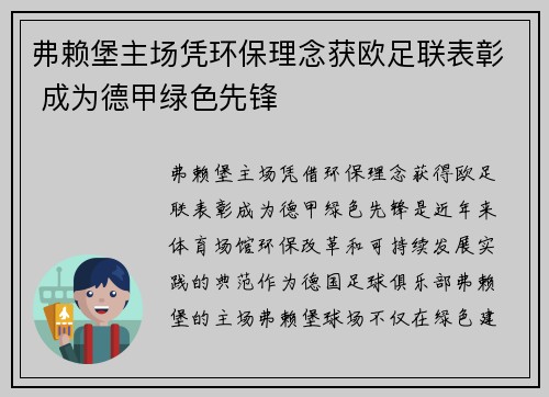 弗赖堡主场凭环保理念获欧足联表彰 成为德甲绿色先锋 弗赖堡主场凭环保理念获欧足联表彰 成为德甲绿色先锋
